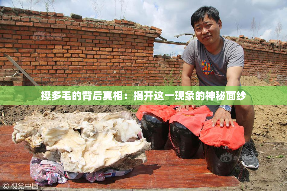 搡多毛的背后真相：揭开这一现象的神秘面纱