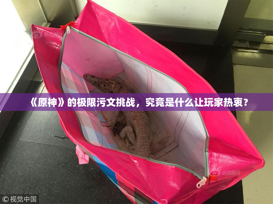 《原神》的极限污文挑战，究竟是什么让玩家热衷？