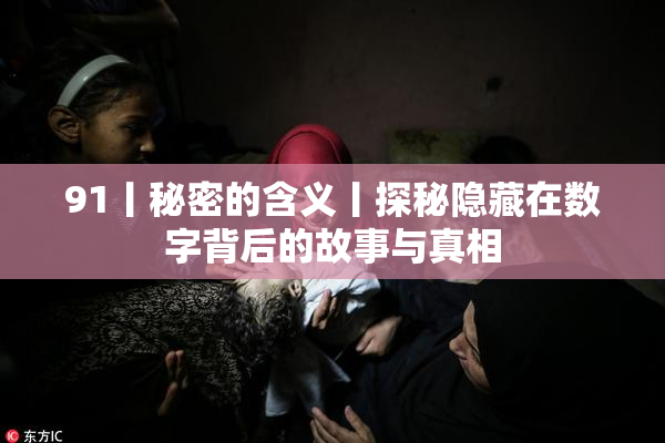 91丨秘密的含义丨探秘隐藏在数字背后的故事与真相