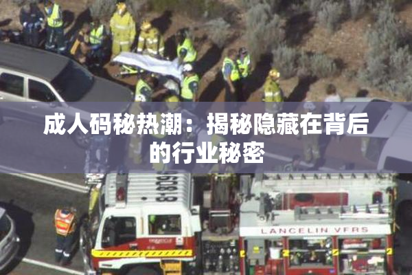 成人码秘热潮：揭秘隐藏在背后的行业秘密