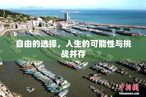 自由的选择，人生的可能性与挑战并存