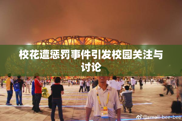 校花遭惩罚事件引发校园关注与讨论