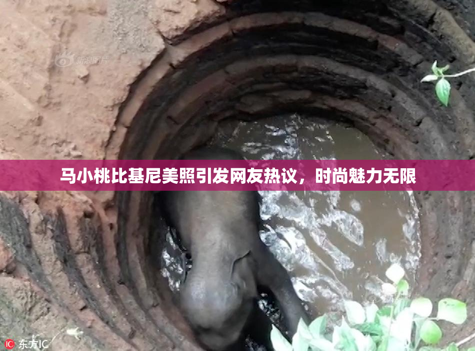 马小桃比基尼美照引发网友热议，时尚魅力无限