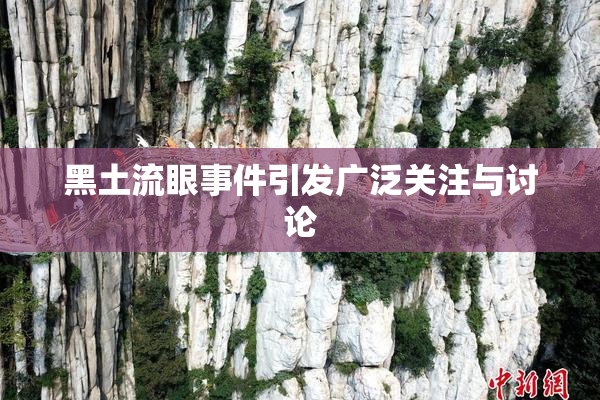 黑土流眼事件引发广泛关注与讨论
