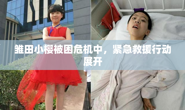 雏田小樱被困危机中，紧急救援行动展开