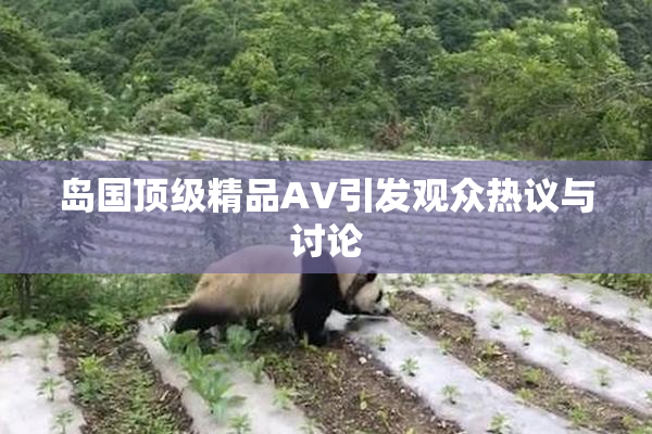 岛国顶级精品AV引发观众热议与讨论