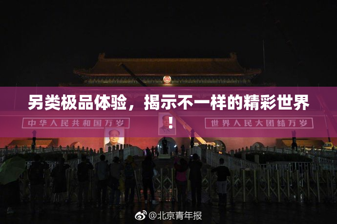 另类极品体验，揭示不一样的精彩世界！