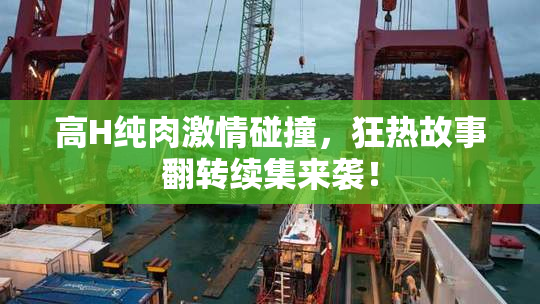 高H纯肉激情碰撞，狂热故事翻转续集来袭！