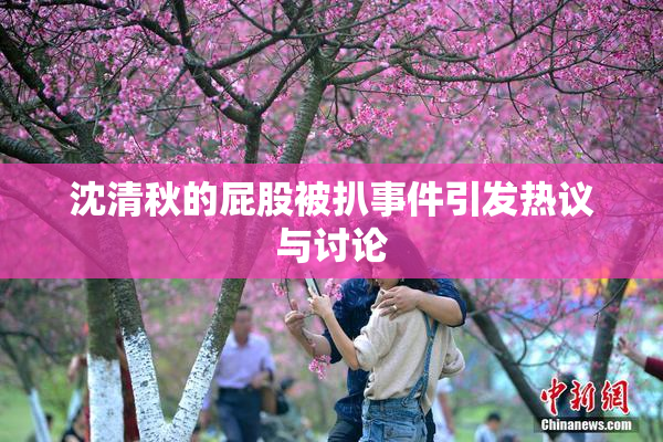 沈清秋的屁股被扒事件引发热议与讨论