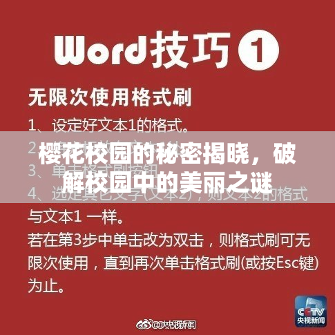 樱花校园的秘密揭晓，破解校园中的美丽之谜