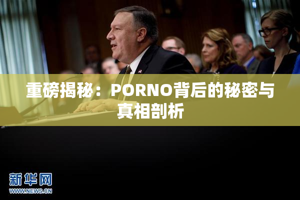 重磅揭秘：PORNO背后的秘密与真相剖析