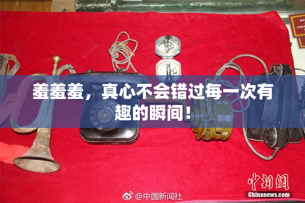 羞羞羞，真心不会错过每一次有趣的瞬间！