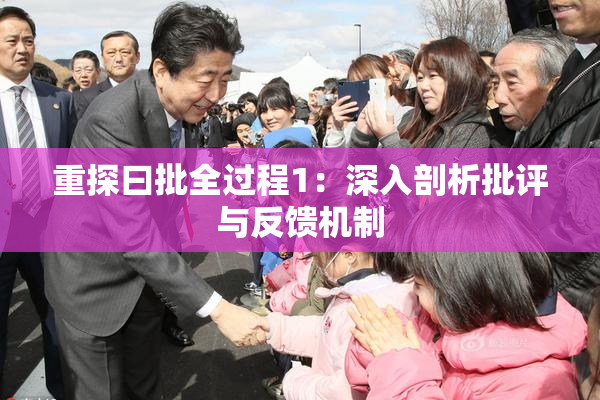 重探曰批全过程1：深入剖析批评与反馈机制