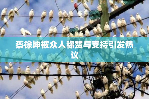 蔡徐坤被众人称赞与支持引发热议