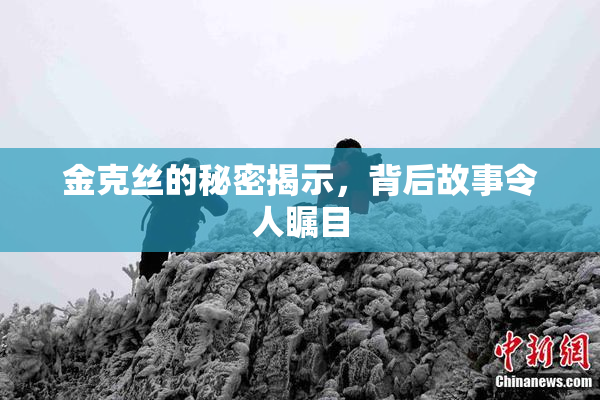 金克丝的秘密揭示，背后故事令人瞩目