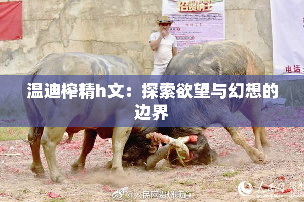 温迪榨精h文：探索欲望与幻想的边界