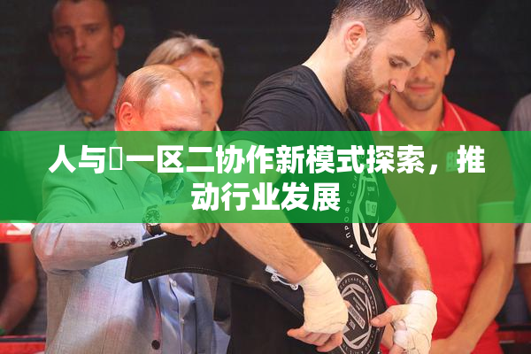 人与嘼一区二协作新模式探索，推动行业发展