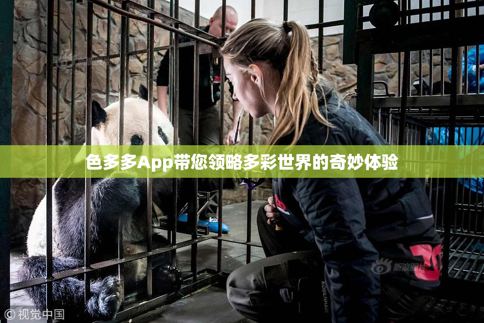 色多多App带您领略多彩世界的奇妙体验
