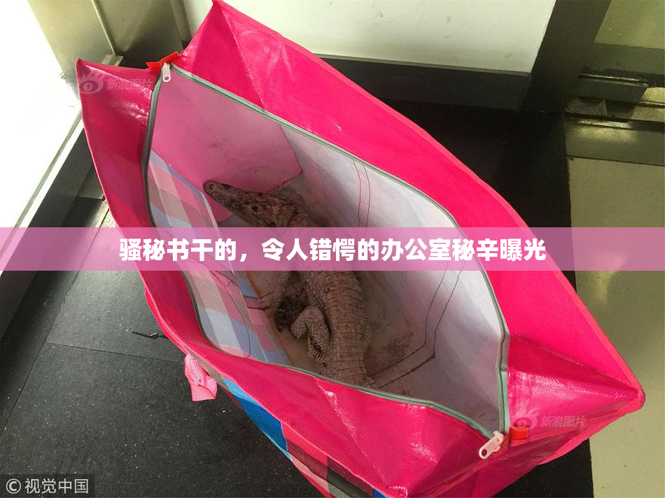 骚秘书干的，令人错愕的办公室秘辛曝光