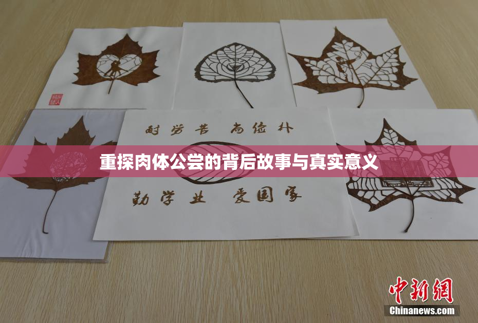 重探肉体公尝的背后故事与真实意义