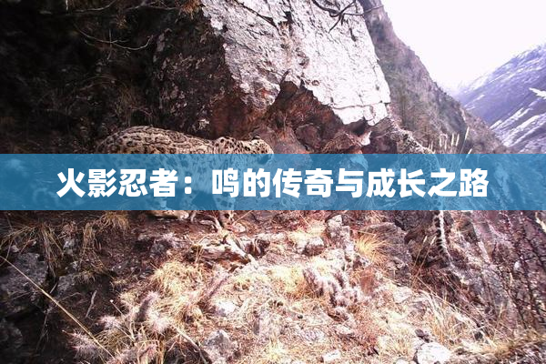 火影忍者：鸣的传奇与成长之路