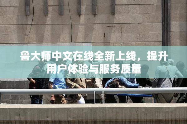 鲁大师中文在线全新上线，提升用户体验与服务质量