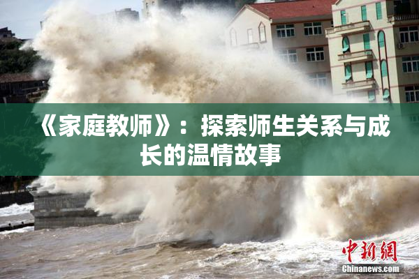 《家庭教师》：探索师生关系与成长的温情故事
