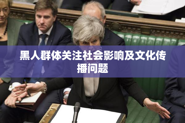 黑人群体关注社会影响及文化传播问题