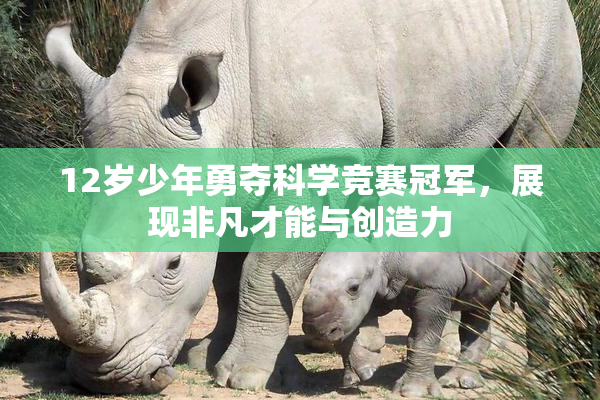 12岁少年勇夺科学竞赛冠军，展现非凡才能与创造力