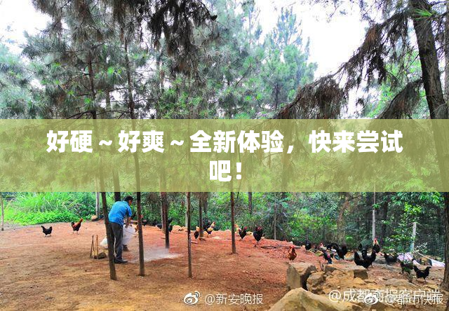 好硬～好爽～全新体验，快来尝试吧！