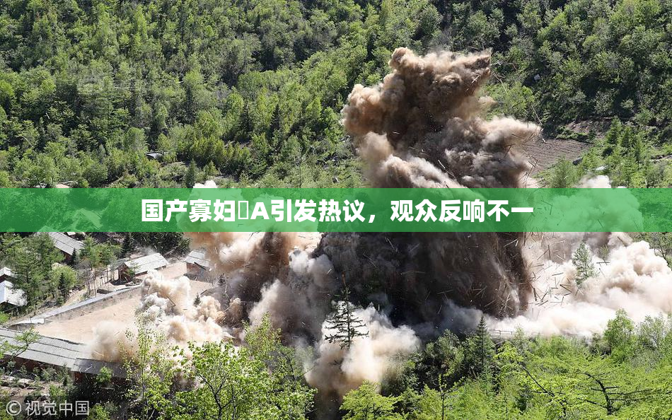 国产寡妇婬A引发热议，观众反响不一