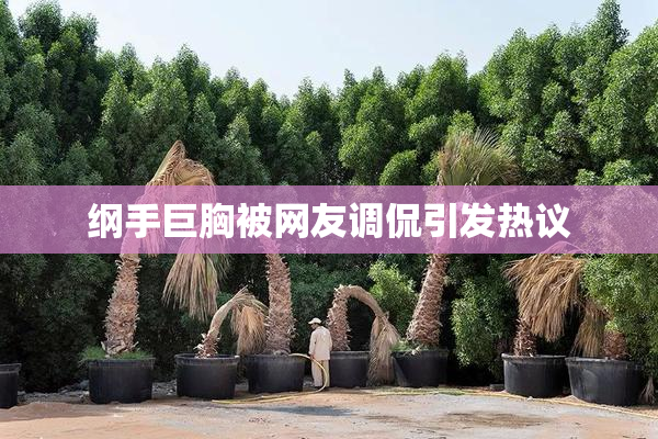 纲手巨胸被网友调侃引发热议