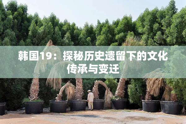 韩国19：探秘历史遗留下的文化传承与变迁
