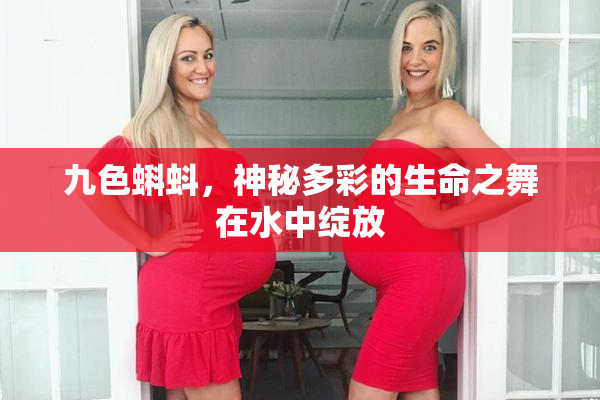 九色蝌蚪，神秘多彩的生命之舞在水中绽放