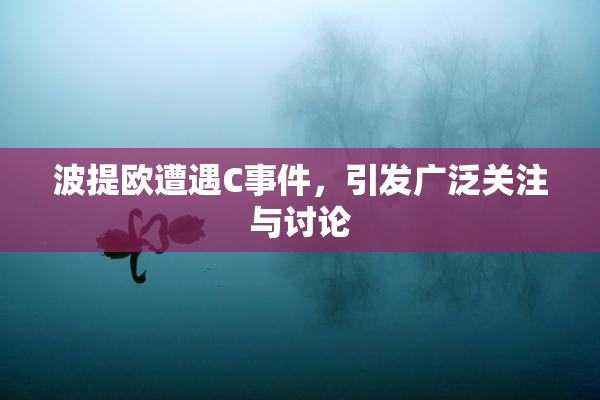 波提欧遭遇C事件，引发广泛关注与讨论