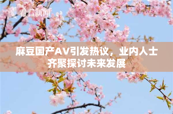 麻豆国产AV引发热议，业内人士齐聚探讨未来发展