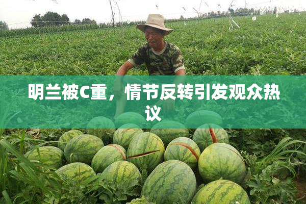 明兰被C重，情节反转引发观众热议