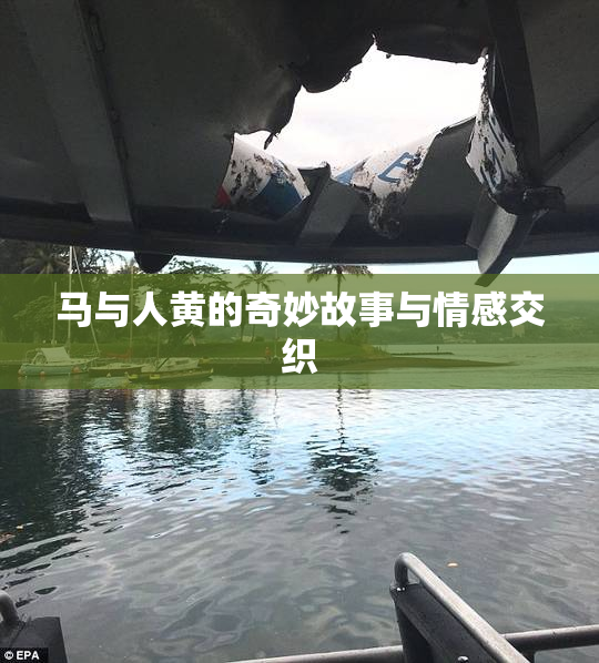 马与人黄的奇妙故事与情感交织