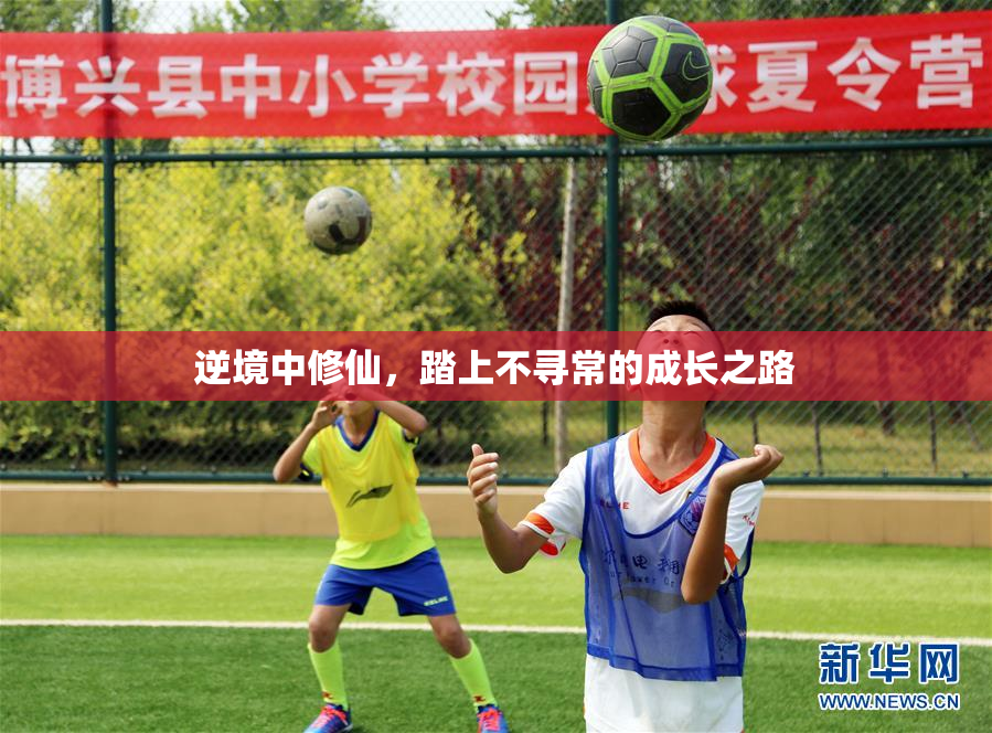 逆境中修仙，踏上不寻常的成长之路