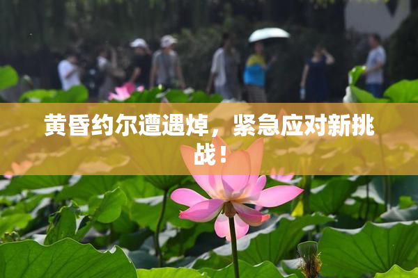 黄昏约尔遭遇焯，紧急应对新挑战！