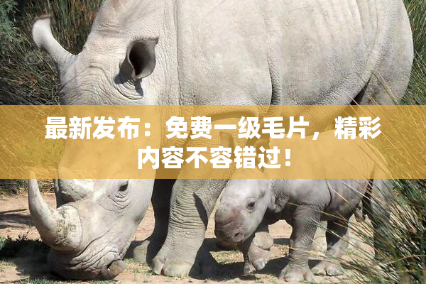 最新发布：免费一级毛片，精彩内容不容错过！