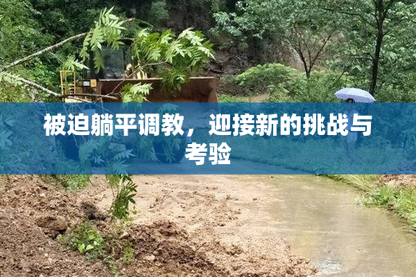 被迫躺平调教，迎接新的挑战与考验