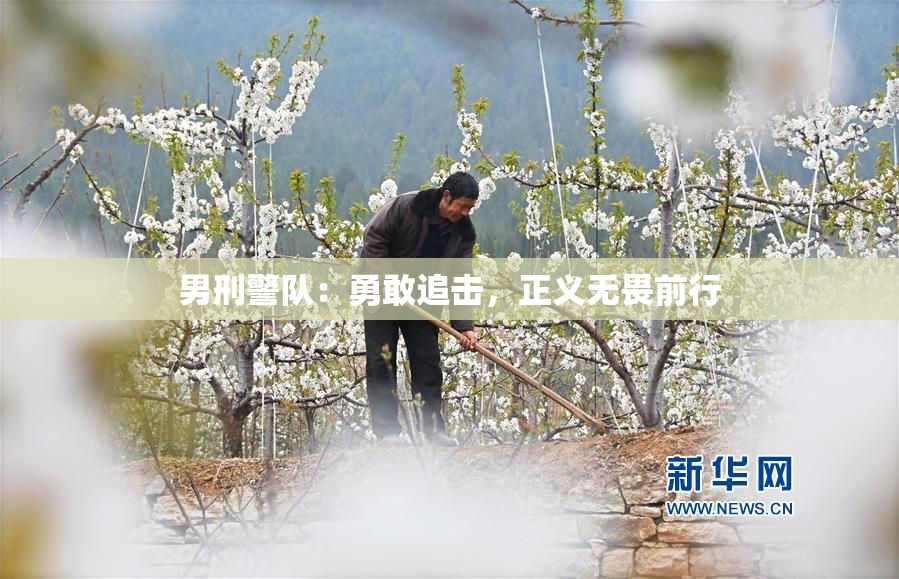 男刑警队：勇敢追击，正义无畏前行