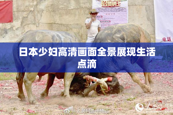 日本少妇高清画面全景展现生活点滴