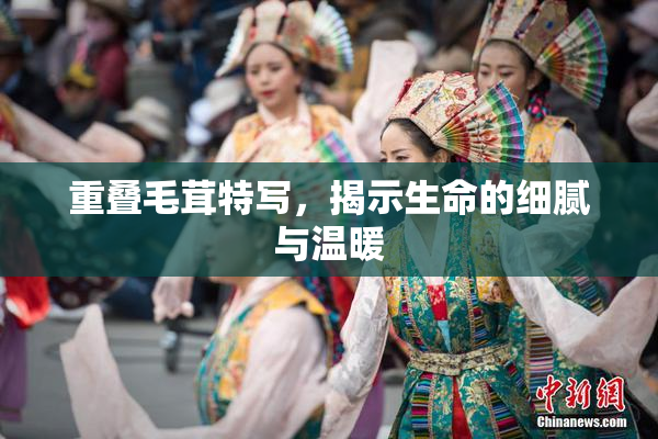 重叠毛茸特写，揭示生命的细腻与温暖