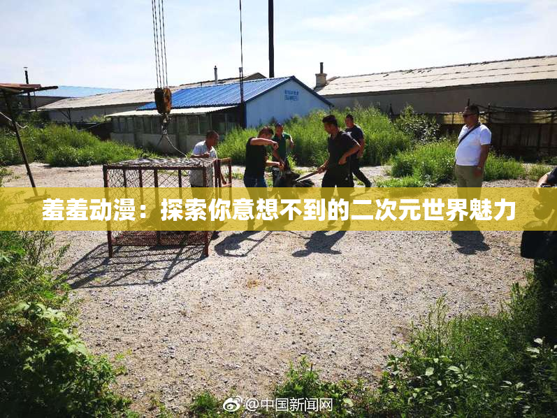 羞羞动漫：探索你意想不到的二次元世界魅力
