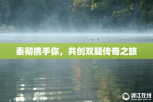 秦彻携手你，共创双腿传奇之旅