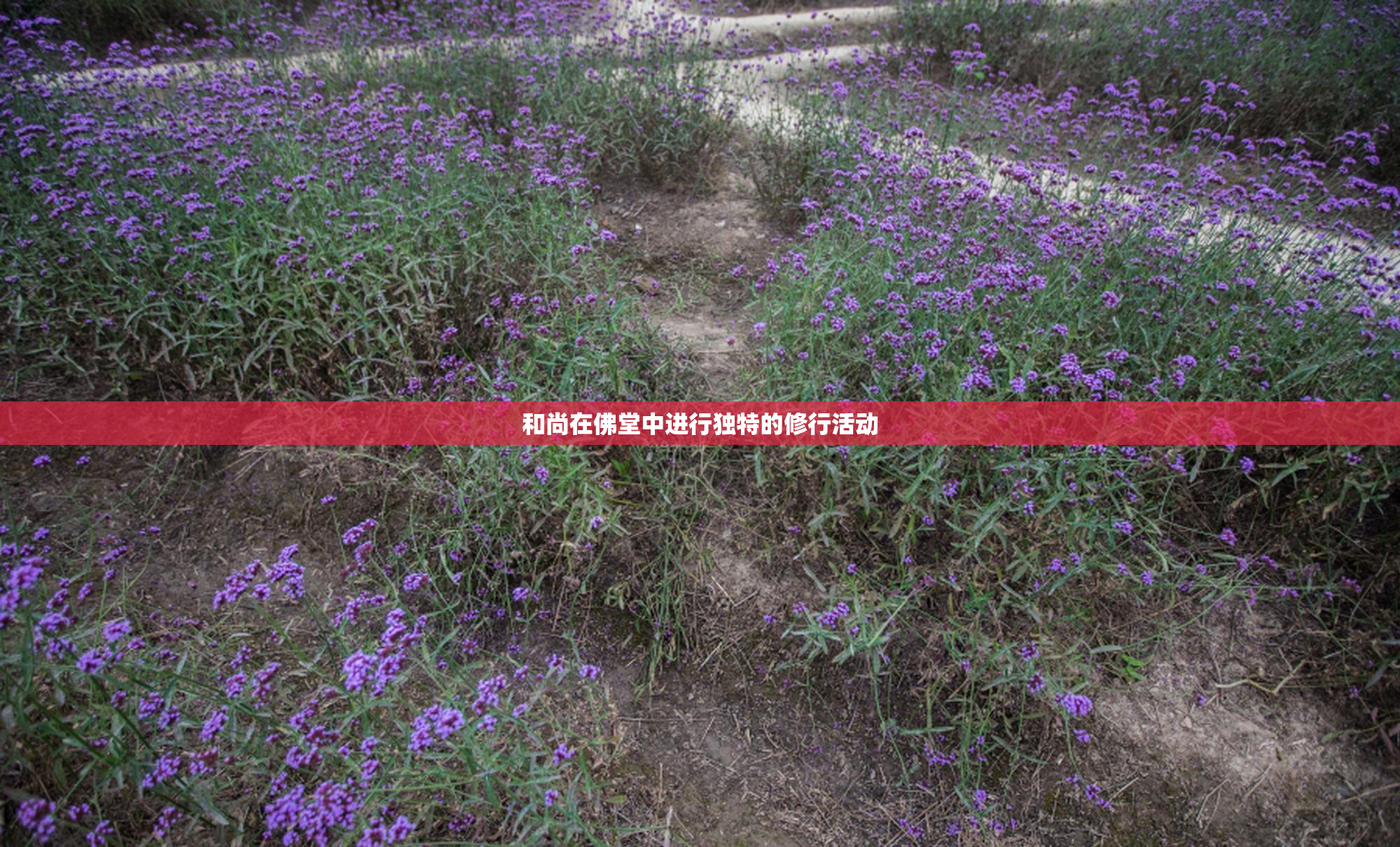 和尚在佛堂中进行独特的修行活动
