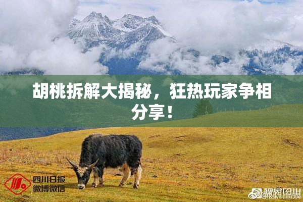 胡桃拆解大揭秘，狂热玩家争相分享！