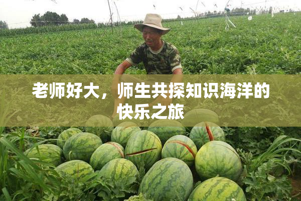 老师好大，师生共探知识海洋的快乐之旅